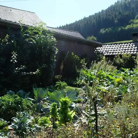 Séjour à la ferme Zimmerbauernhof *